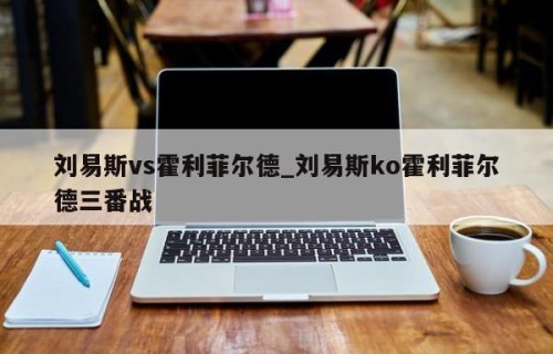 刘易斯vs霍利菲尔德_刘易斯ko霍利菲尔德三番战