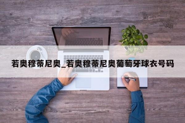 若奥穆蒂尼奥_若奥穆蒂尼奥葡萄牙球衣号码