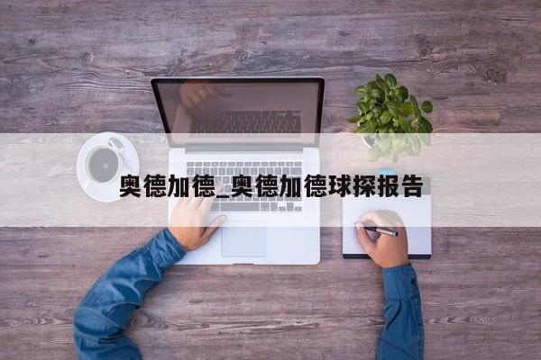 奥德加德_奥德加德球探报告