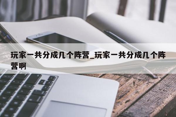 玩家一共分成几个阵营_玩家一共分成几个阵营啊
