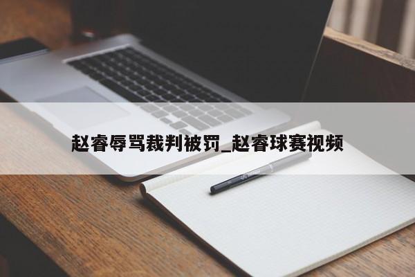 赵睿辱骂裁判被罚_赵睿球赛视频