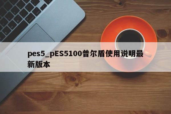 pes5_pES5100普尔盾使用说明最新版本