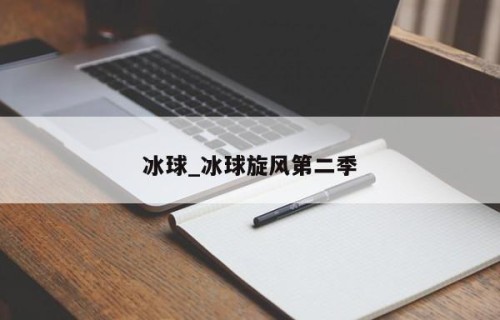 冰球_冰球旋风第二季