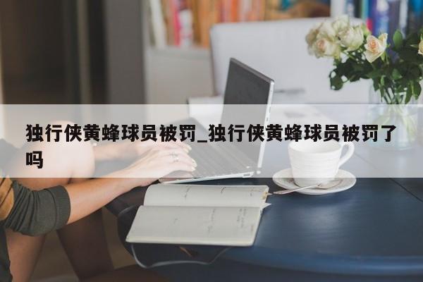 独行侠黄蜂球员被罚_独行侠黄蜂球员被罚了吗